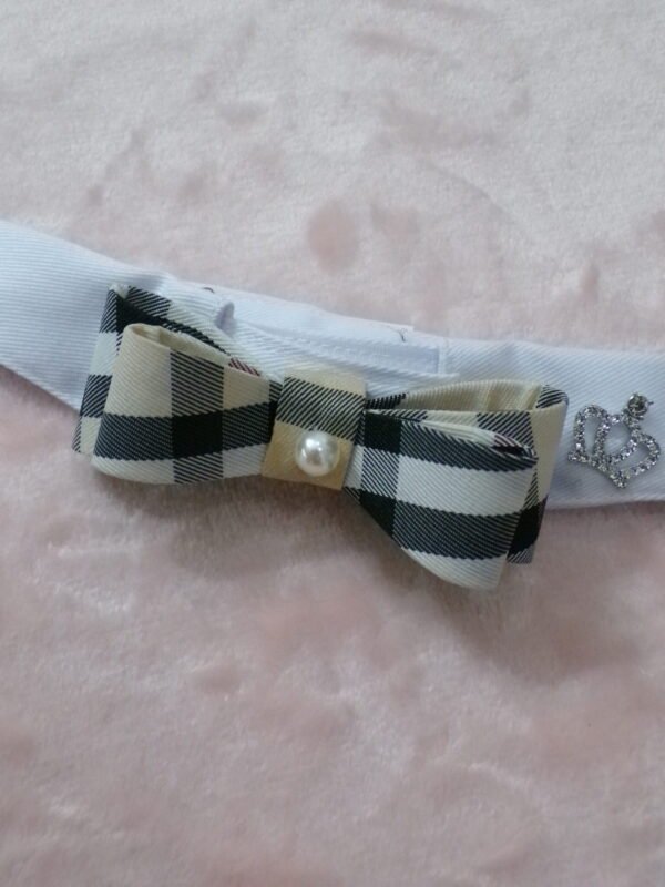 Collare bianco papillon luxury