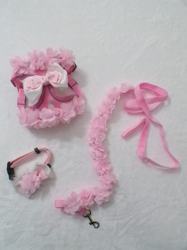 Pettorina + collare + guinzaglio rosa