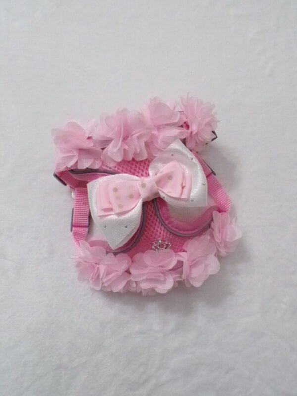 Pettorina + collare + guinzaglio rosa