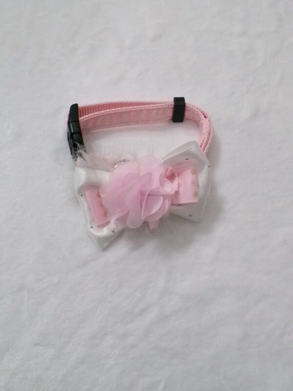 Pettorina + collare + guinzaglio rosa