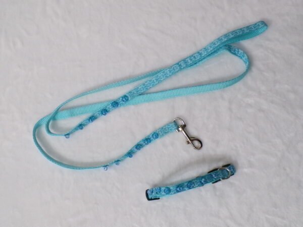 Collare + Guinzaglio blu