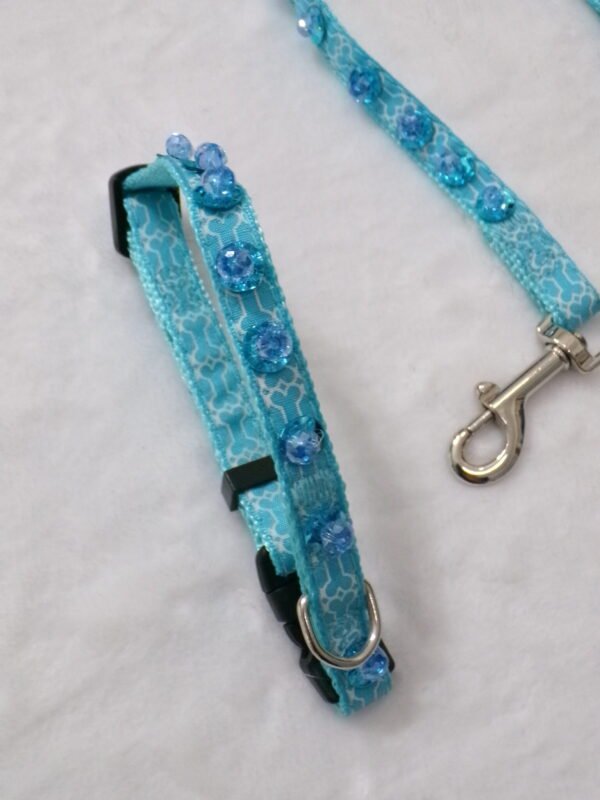 Collare + Guinzaglio blu