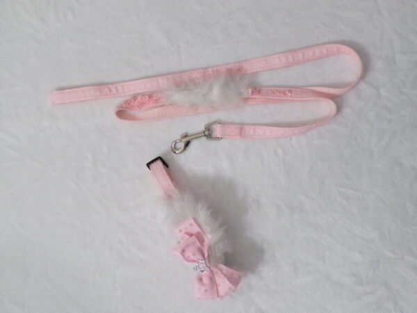 Collare + guinzaglio rosa