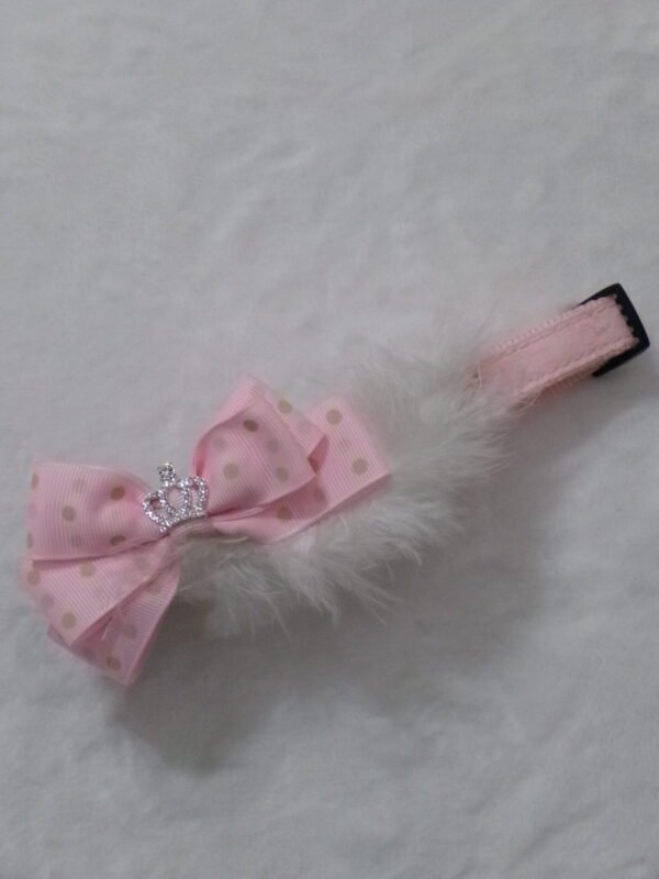 Collare + guinzaglio rosa