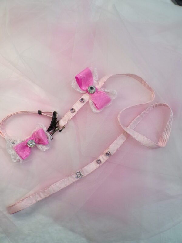 Collare + Guinzaglio pink