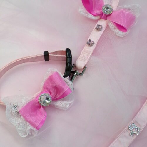 Collare + Guinzaglio pink