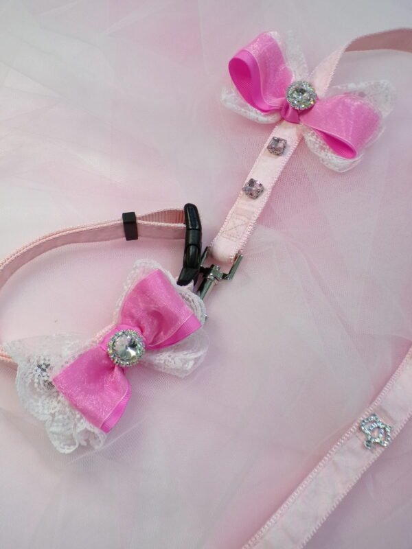 Collare + Guinzaglio pink