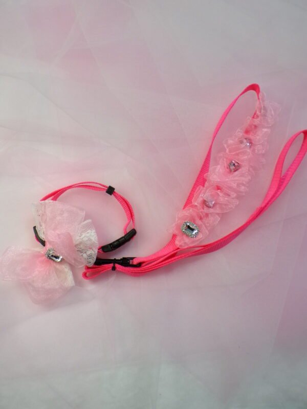 Collare + Guinzaglio pink neon