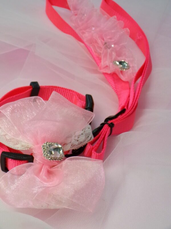 Collare + Guinzaglio pink neon