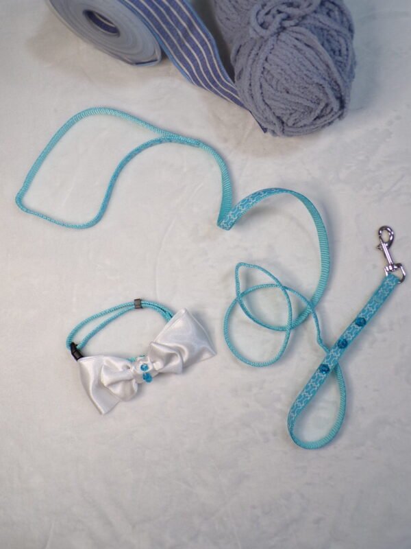 Guinzaglio + collare sky