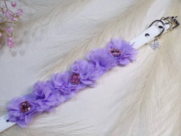 Collare violet